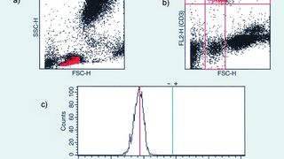 Abb. 1 Durchflusszytometrischer Nachweis des HLA-B27-Antigens auf T-Lymphozyten. Details siehe Bildergalerie. (Archiv: Vogel Business Media)