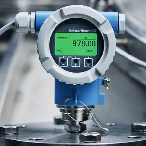 (Endress+Hauser)