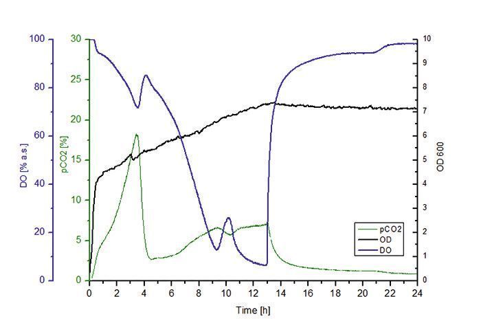 Fig.3: Measurement in baffled flask without offline sampling. Biomass signal is filtered and transformed to OD 600nm. (Presens)