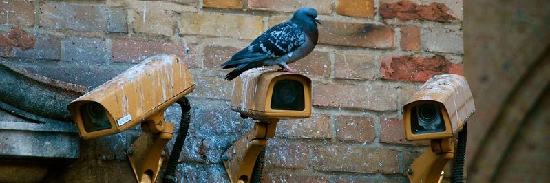 Security-Aspekte rangieren bei der Entwicklung von IoT-Lösungen noch immer hinter Features und Geschwindigkeit.(Bild:  gemeinfrei /  Pixabay)