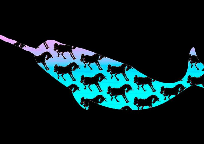 Die Narwale (bis 1.500 kg) und die Einhörner (Gewicht unbekannt) Als Einhörner (oder Narwale, wenn es sich um kanadische Unternehmen handelt) werden jene Start-ups bezeichnet, die einen Marktwert von mehr als einer Milliarde US-Dollar erreicht haben und nach 1999 gegründet wurden. Bekannte Beispiele wie Airbnb oder Uber zeigen, weshalb sie sich in einer umkämpften Umwelt durchsetzen konnten: In der Regel schaffen sie mit innovativen Neukombinationen Märkte, die die etablierten Player übersehen haben. Einhörner erkennen früh neu entstandene Märkte mit wenig Konkurrenz und zeichnen sich durch intelligente Innovationen (Technologie, Produkt und/oder Geschäftsmodell) mit einem zumindest zeitweiligen Alleinstellungsmerkmal aus. (Bild: gemeinfrei © Clker/FreeVectroImages)