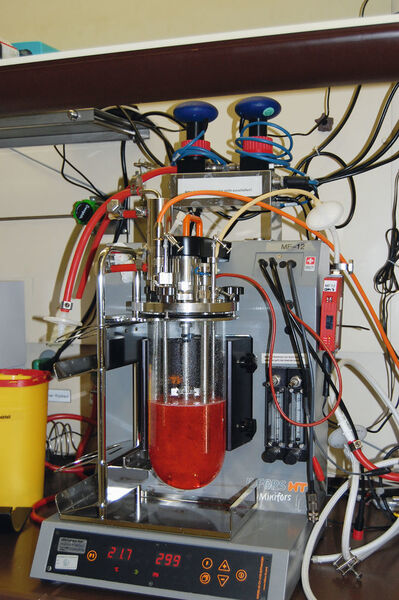 Abb. 2: Synthesegas-Fermentation mit anaeroben Mikroorganismen (KIT)