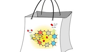 Enzym-ähnliche Wasserorganisation vor einem Ruthenium-Wasseroxidations-Katalysator, die Forscher in einer künstlichen Tasche ablaufen lassen. (Bild: Team Würthner (bearbeitet von VCG))