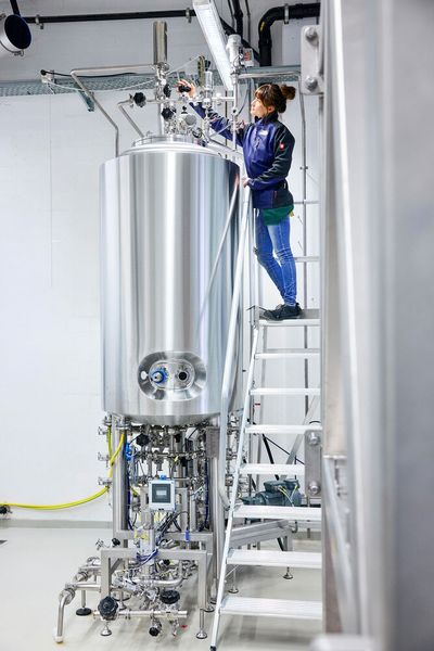 Im Bioreaktor werden die Zellen in einer Flüssigkeit kultiviert. So wird innerhalb weniger Tage eine Masse an Rohkakao erntereif. (Bild: Endress+Hauser )