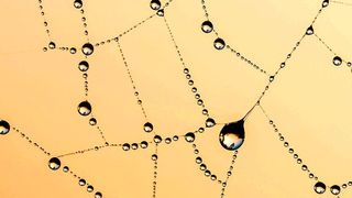 Unternehmen setzen bei der Netzwerkverwaltung verstärkt auf die WAN-Transformation, um einen Multiplikatoreffekt bei Cloud-Investitionen zu erzielen. (Bild: gemeinfrei)