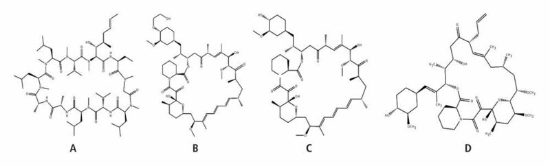 Abb. 1: Struktur der Immunsuppressiva Cyclosporin-A (A), Everolimus (B), Sirolimus (C), Tacrolimus (D) (Shimadzu Deutschland)
