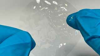 Der neu hergestellte Bio-Kunststoff besteht aus hydroplastischen Polymeren, welche weich sind und sich bei Kontakt mit Wasser formen lassen. (Kai Zhang)