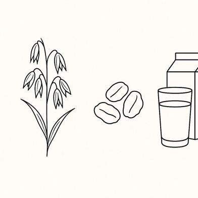 Haferdrinks verdoppeln ihren Absatz bis 2030. Damit wächst auch der Bedarf der deutschen Schälmühlen an Schälhafer – möglichst regional erzeugt. (Bild: GPT Image Editor / KI-generiert)