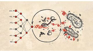 Künstliche Intelligenz und neuronale Netze helfen dabei, neue Wirkstoffe gegen resistente Bakterien zu finden. (Bild: Max-Planck-Institut für terrestrische Mikrobiologie/Bobkova)
