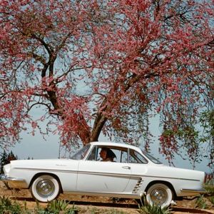 Auf dem US-amerikanischen Markt als Renault Caravelle angeboten, wurde dieses französische Coupé erst als Renault Floride, dann aber auch außerhalb Amerikas als Caravelle verkauft. Der Motor des kleinen Flitzers leistete 36 PS bis 52 PS. Die Karosserie zeichnte Pietro Frua.(Bild:  Renault)