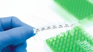 B-492-Etikett für PCR-Röhrchen (Brady)