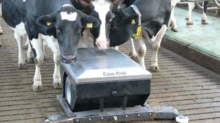 Der kleine Roboter  von Betebe befreit Spaltenböden völlig selbständig vom Mist und ist daher den Kühen herzlich willkommen. (Archiv: Vogel Business Media)