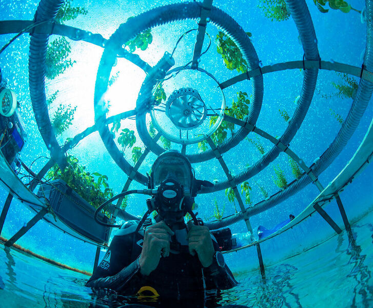 Abbildung 1: Nemo's Garden ist ein Startup, das sich auf den nachhaltigen Unterwasseranbau von Nutzpflanzen spezialisiert hat .  (OceanReefGroup 202)