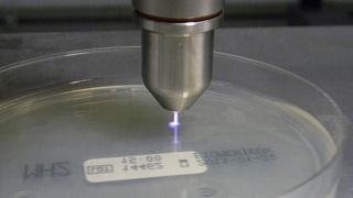 Behandlung von Nährmedium innerhalb einer Petrischale mit einem Plasmajet. Auf dem Nährmedium wurden Krankenhauskeime angesiedelt und die antimikrobiellen Eigenschaften der Plasmen nachgewiesen. (Bild: Innovent)