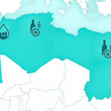 Ägypten, Algerien und Marokko bauen ihre Nahrungsmittelproduktion mit Investitionen in dreistelliger Millionenhöhe aus.GPT Image Editor (Bild: GPT Image Editor / KI-generiert)