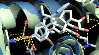 Die Transinsight GmbH gehört zu den Kunden von Fortissimo und soll für die Klientel typisch sein. Sie entwickelt wissensbasierte semantische Lösungen für die Life-Sciences. Das Flagschiffprodukt „GoPubMed“ ist die erste Such-Systeme dieser Art im Internet. (Fortissimo Ltd.)