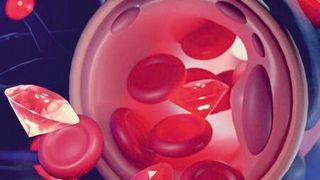 Mit Albumin beschichtete Nanodiamanten können die Blut-Hirn-Schranke überwinden und gezielt für Diagnose- und Therapiezwecke im Gehirn verwendet werden. (MPI-P / CC BY-SA)