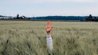 Empfehlungsmarketing ist auch im B2B-Bereich umsetzbar und sinnvoll, es gilt nur diese 5 Mythen zu wiederlegen. (Bild: gemeinfrei)