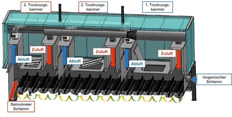 Schnitt in den Trockner mit den 16 Paddelwellen in den drei Trocknungskammern sowie der Austragsschnecke (Bild: Segler)