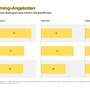 Die Werbung bei Streaming-Angeboten (Bild:  pilot)