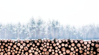 Die geplante Bioraffinerie in Leuna wird eine neue Generation von nachhaltigen, chemischen Grundstoffen aus Holz herstellen. (gemeinfrei)