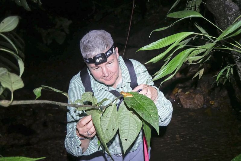 Prof. Dr. Heike Feldhaar erforscht in einem Projekt den Einfluss von Feinstaub auf Insekten.