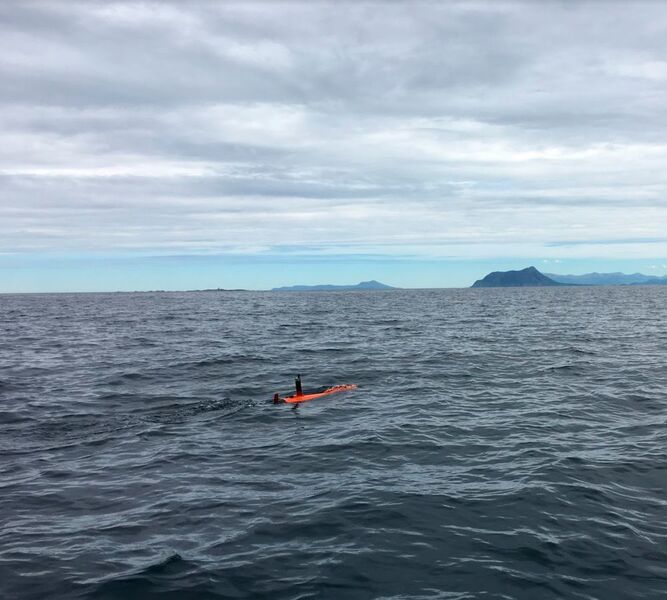 Harald the smart AUV off on its hunt for phytoplankton patches. (Trygve Fossum, NTNU )