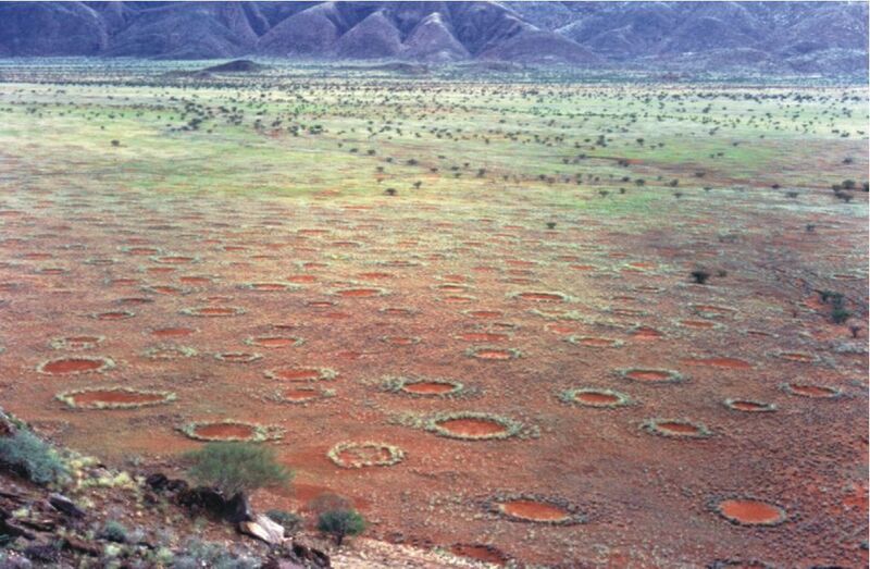 Feenkreise im Marienflusstal in Namibia (Wikipedia,Stephan Getzin)
