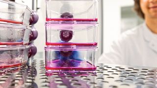 1 Immer mehr Anwender setzen zur sicheren und ethischen Zell- und Gewebekultur auf humanes Plättchenlysat (Bild: PL Bioscience GmbH)