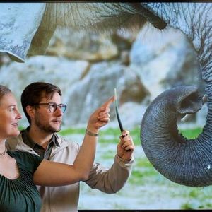 Photograph of Prof. Katherine J. Kuchenbecker (left) and Dr. Andrew K. Schulz (right) with the 3D-printed whisker wand that helped the research team understand how a functional gradient of material stiffness could facilitate contact sensing in elephant and cat whiskers.(Source:  Wolfram Scheible)