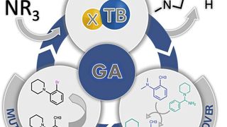 Ein genetischer Algorithmus (GA) kombiniert und mutiert bekannte Katalysatormoleküle zu neuen Spezies und bewertet sie in einer Reaktion. (Bild: Wiley-VCH, 'Angewandte Chemie, https://doi.org/10.1002/ange.202218565)