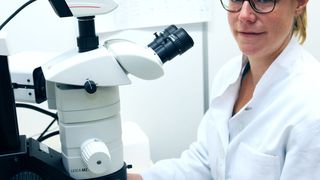 Juniorprofessorin Anika Wagner untersucht an der Universität Kiel gesundheitsfördernde Effekte von Lebensmitteln und Ernährungsmustern. (Bild: Christian Urban, Universität Kiel)