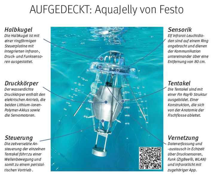 Die AquaJellies von Festo sind künstliche, autonome Quallen mit elektrischem Antrieb und einer adaptiven Mechanik. Entwickelt wurden die AquaJellies im Rahmen des Bionic Learning Network. Sie bestehen aus einer transluzenten Halbkugel und acht Tentakeln. Im Zentrum befindet sich ein lasergesinterter Druckkörper. Dieser enthält einen elektrischen Antrieb, zwei Lithium-Ionen-Polymer-Akkus, die Laderegelung sowie die Servomotoren für die Taumelscheibe. //ED (Archiv: Vogel Business Media)