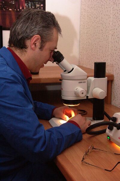 Le maître «Qualité» au microscope. (Image: Laurent Hirt) (Archiv: Vogel Business Media)