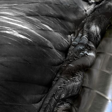 Farbtest für gleichmäßiges, materialschonendes Blending zweier Reifen-Compounds im TRP-Prozess. (Bild: Uth)