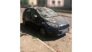 Ford sagt Vogelkot auf Autos den Kampf an. (Bild: Privat)