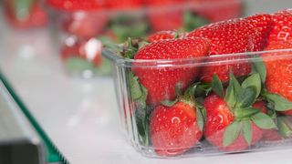 Die Zahnriemen bestehen aus thermoplastischem Polyurethan. Das Material ist beständig gegen Öl, Fett oder chemische Mittel, hydrolysebeständig und verfügt über eine FDA/EU Lebensmittelzulassung. (Bild: Habasit)