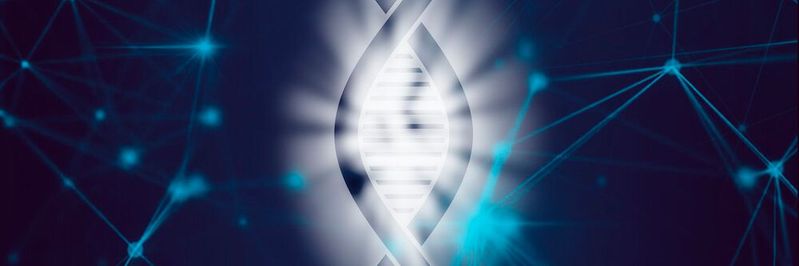 Scientists with the Human Pangenome Reference Consortium have made groundbreaking progress in characterizing the fraction of human DNA that varies between individuals. Scientists with the Human Pangenome Reference Consortium have made groundbreaking progress in characterizing the fraction of human DNA that varies between individuals.
