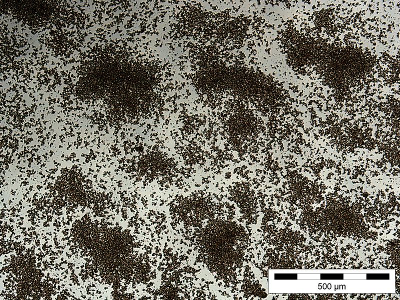 Nach vier Stunden im Rüttler sind aus vorzerkleinerten Federn sehr feine Partikel entstanden, die jedoch noch zu größeren Aggregaten vereinigt sind.  (Bild: Fraunhofer IAP)