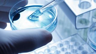 Abb. 1: Das Weiterleiten oder Abspeichern publizierter Forschungsergebnisse liegt häufig nahe, muss aber hinterfragt werden. (Bild: Rights Direct)