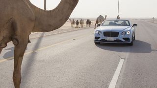 Volkswagen liegt in Saudi-Arabien mit einem Ex-Bentley-Händler im Clinch. (Bentley)