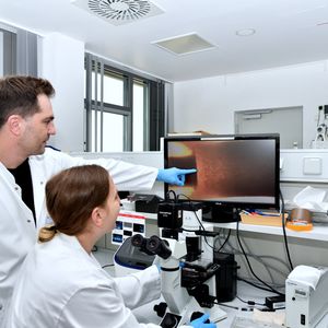 PD Dr. Felix Kleefeld mit Dr. Nassam Daya zeigen eine mikroskopische Vergrößerung eines Muskelorganoids. (Bild:  Bergmannsheil)