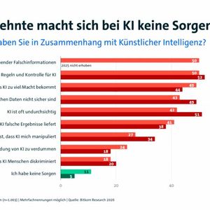 Allerdings bleibt die Sorge beim KI-Einsatz noch immer relativ hoch. Besonders die Sorge vor Falschinformationen, die mangelnde Kontrolle und Regulation bei KI als auch Bedenken hinsichtlich Datensicherheit spielen hierbei eine große Rolle. Das sorgt dafür, dass KI meist eher privat als beruflich genutzt wird.(Bild:  Bitkom)
