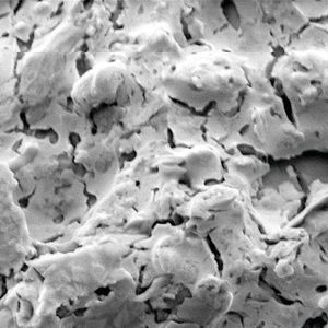 (Stony Brook University, Lars Ehm)