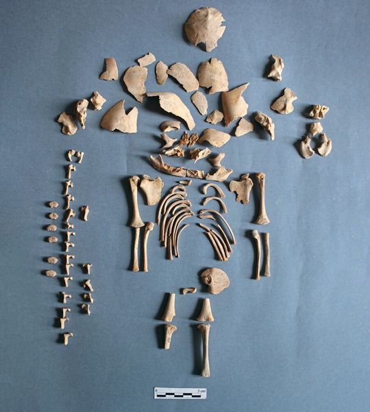 Sterbliche Überreste von Individuum „CRU001“, einem Jungen, der bei oder kurz vor der Geburt starb und in Alto de la Cruz bestattet wurde.(Bild:  © Gobierno de Navarra/J.L. Larrion)