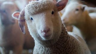 15 Startups, die die Landwirtschaft verändern können. (Bild: Pexels)