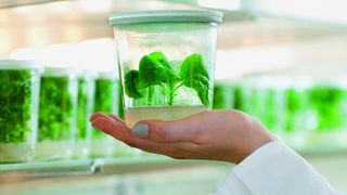  (Bild: © travelguide - Fotolia.com)