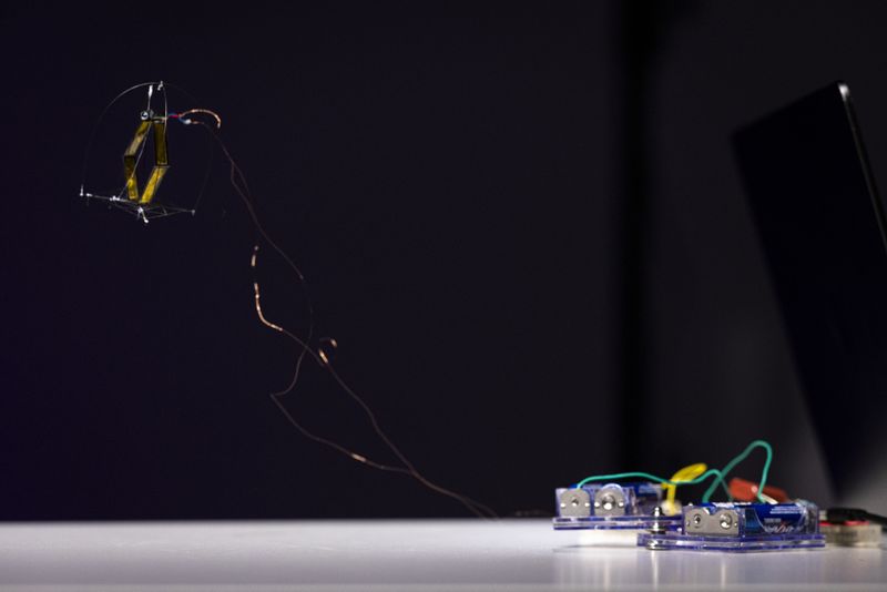 Since the robot inevitably starts to wobble when it jumps, the engineers developed a special roll cage modeled after a box turtle. If the system lands on its side, the motor on the tower structure moves downward. Thanks to this deliberate shift in the center of gravity, the robot rolls back onto its feet on its own in 90 percent of cases. (Source: Mark Stone/University of Washington)