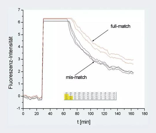 Abb.4: SNP-Analytik(Bild:  Archiv: VCG)