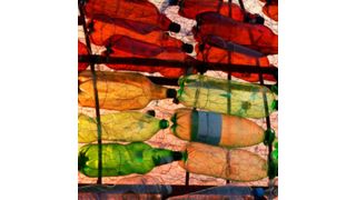 Chemical recycling can potentially remove the so-called ‘legacy chemicals’ and substances of very high concern (SVHC) from plastic waste. (Shutterstock )